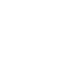 reCAPTCHA v2